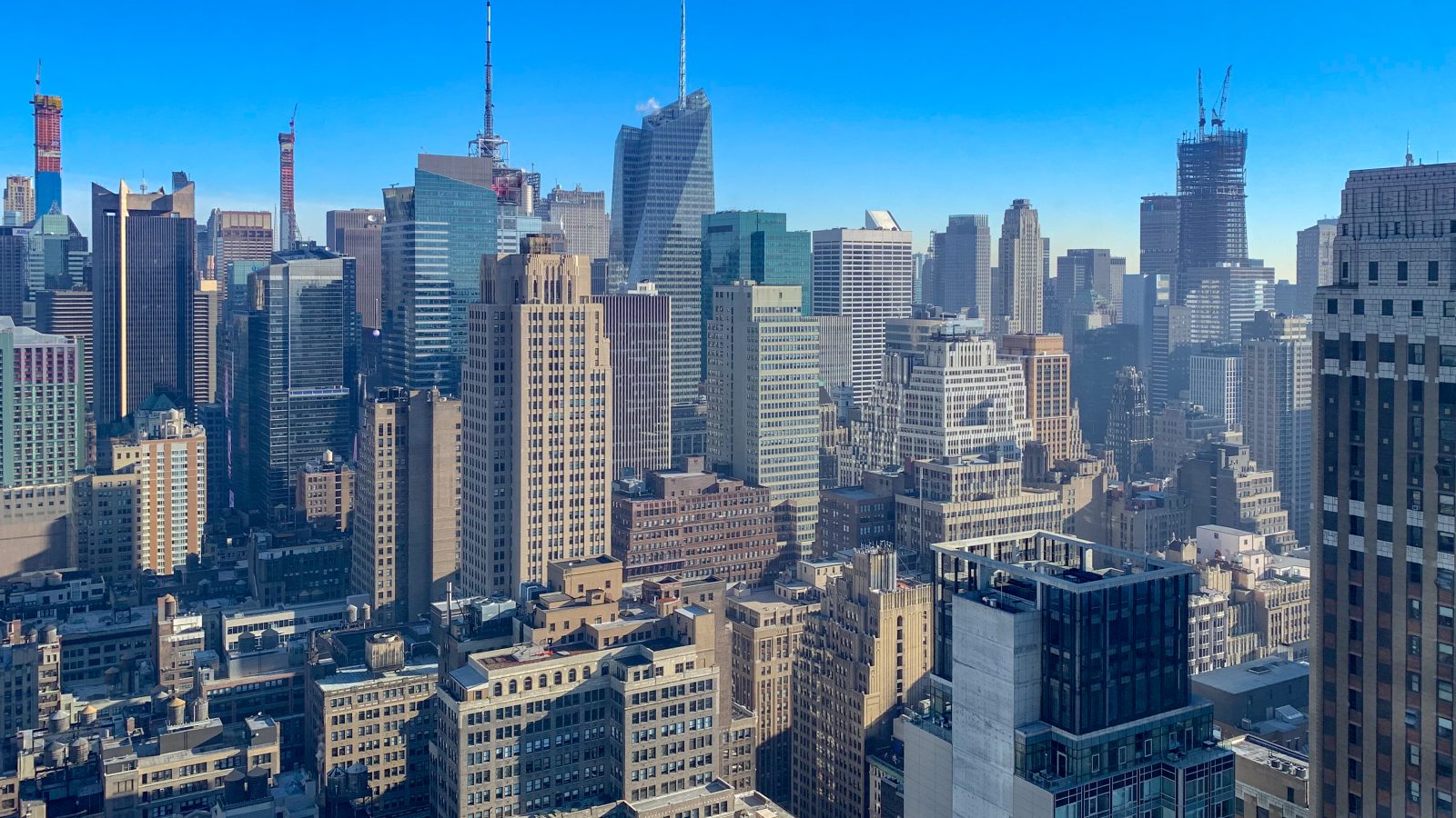 New York May 2025 revenue