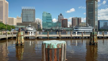 Maryland-NC May 2025 revenue