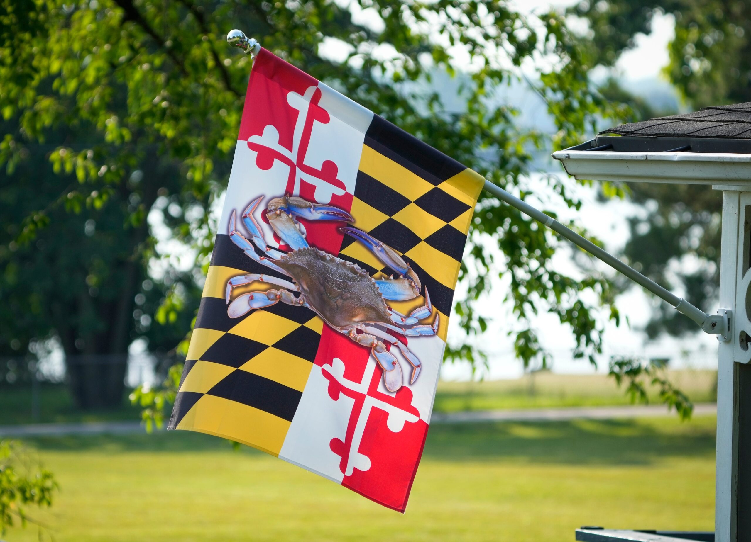 Maryland flag with crab