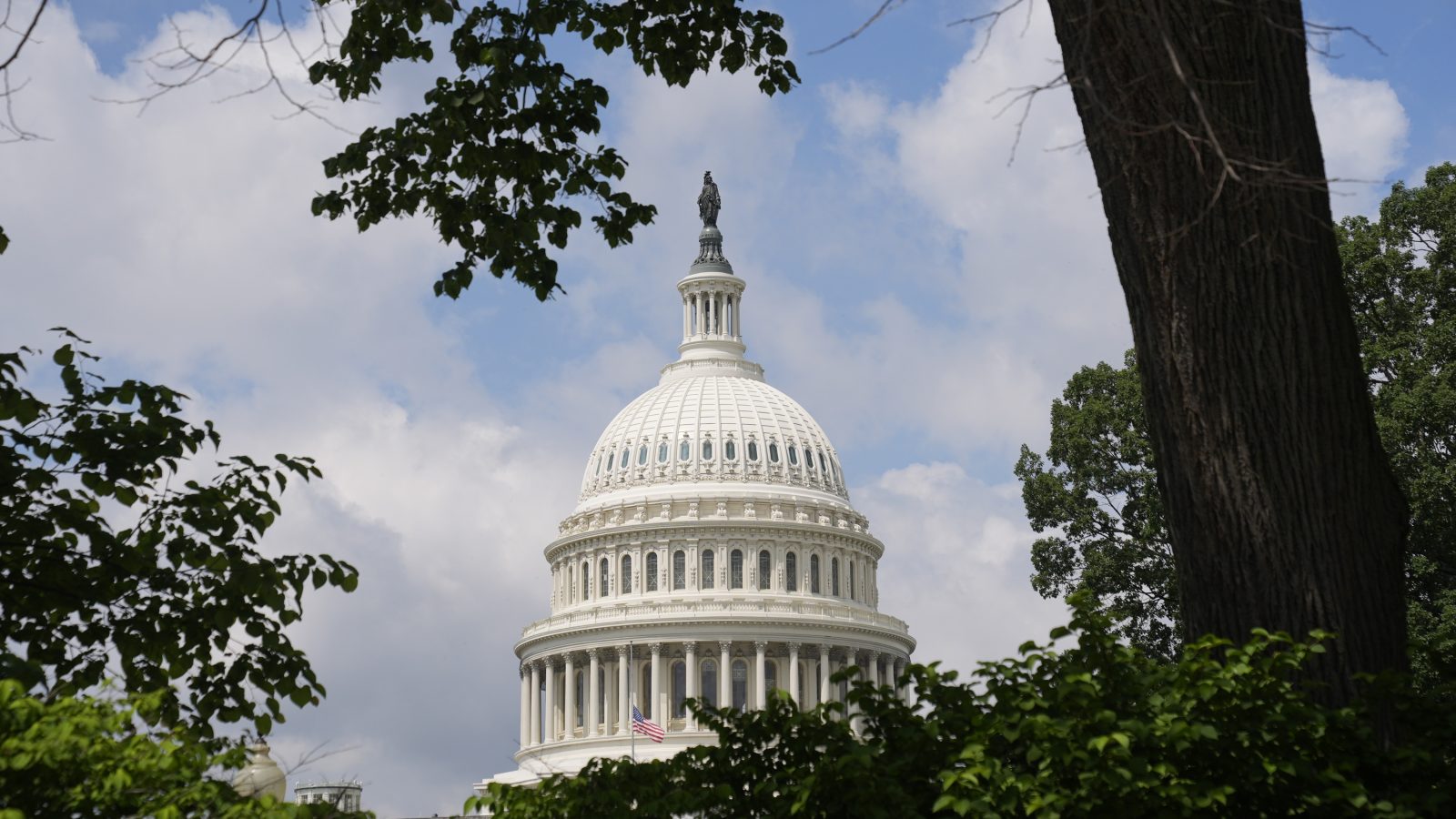 The Capitol Building