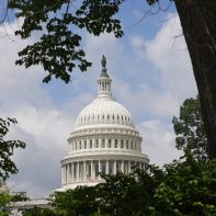 The Capitol Building