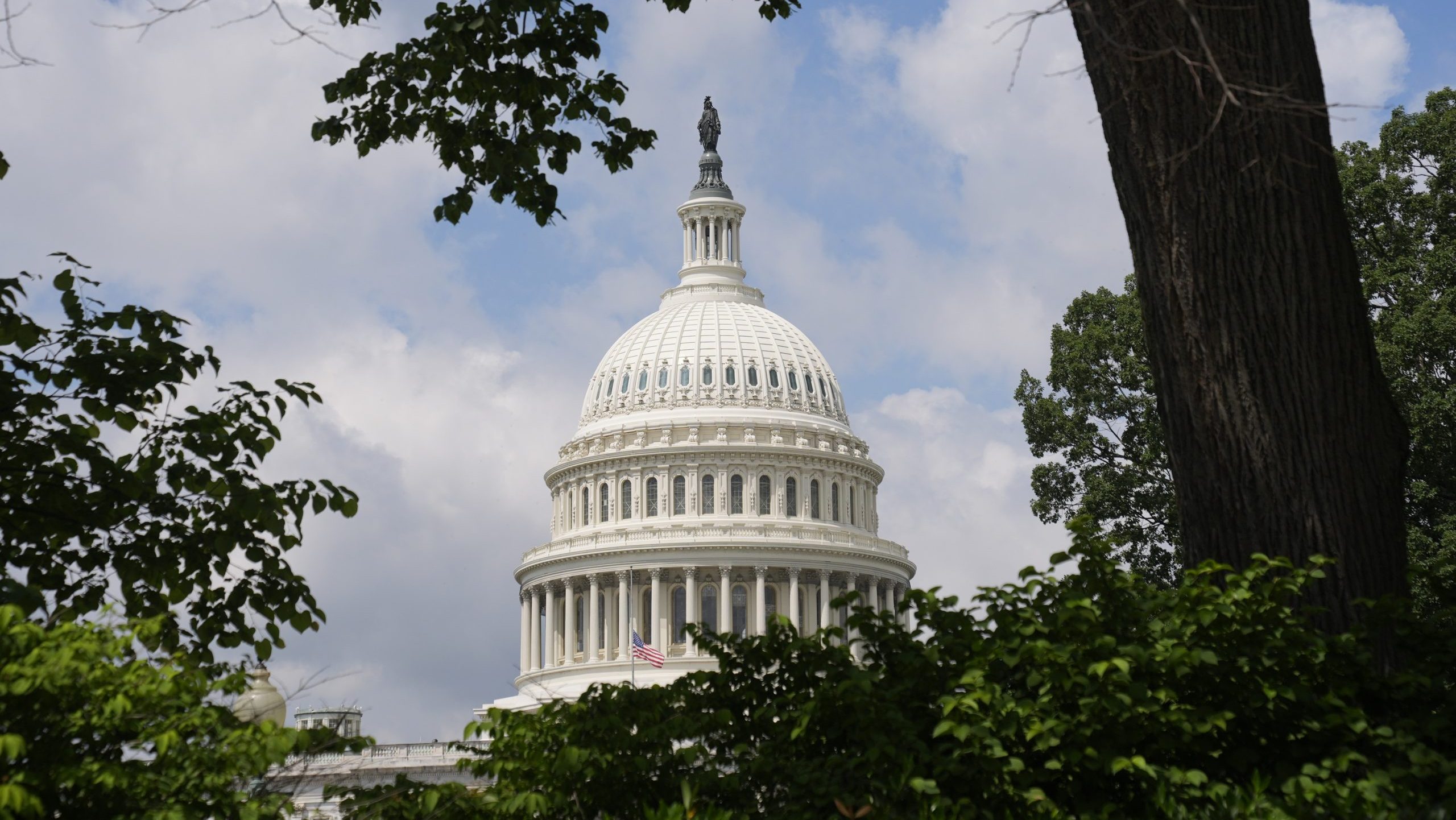 The Capitol Building
