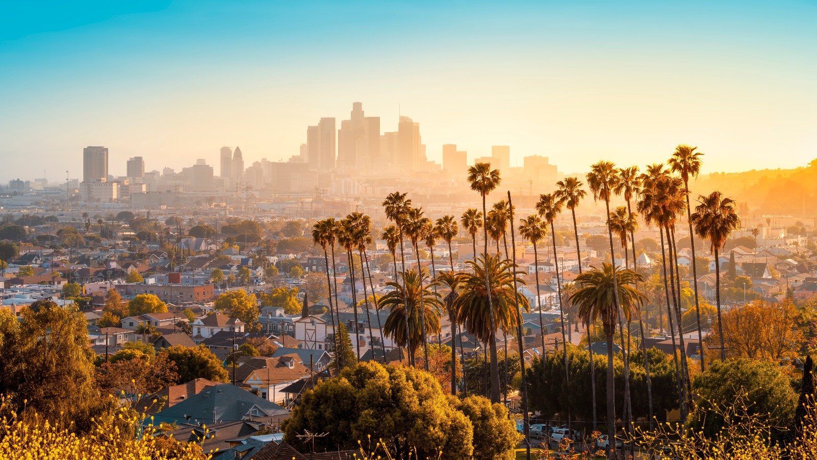 hazy-day-los-angeles-skyline-palms