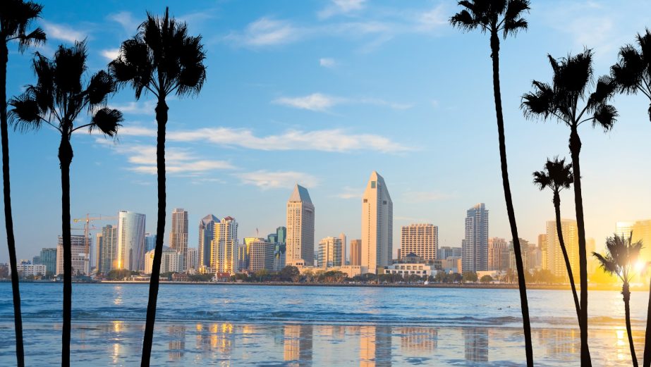 san-diego-skyline-framed-palm-trees