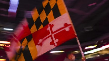 Maryland flag