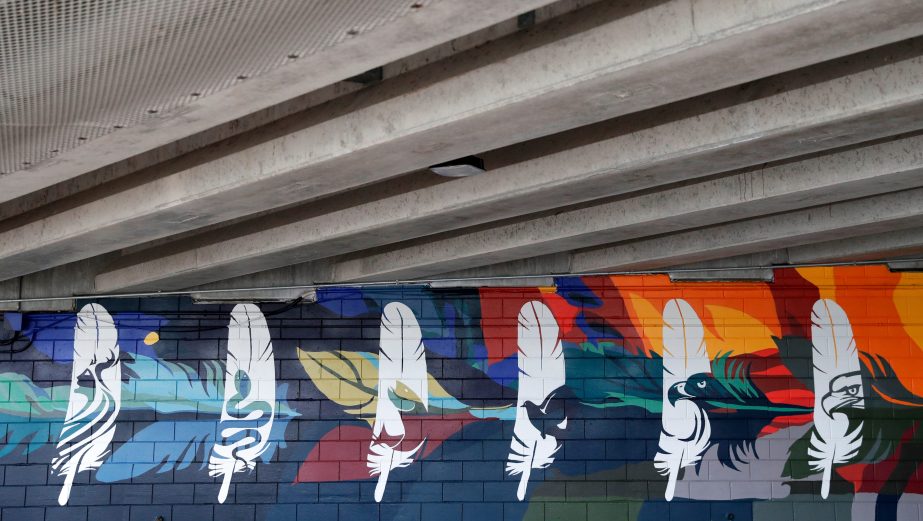 mural-feathers-green-bay