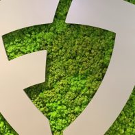 fanduel-logo-green-background