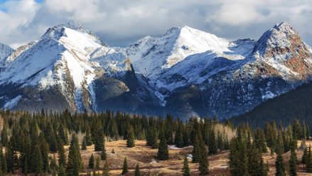 rocky-mountains-snowcapped-pine-trees
