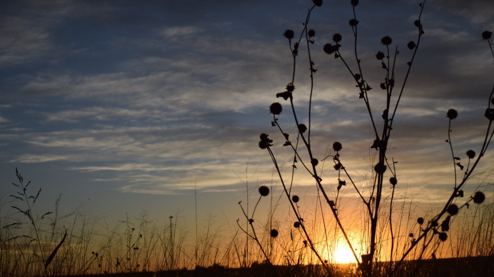 sunset-prairie-texas