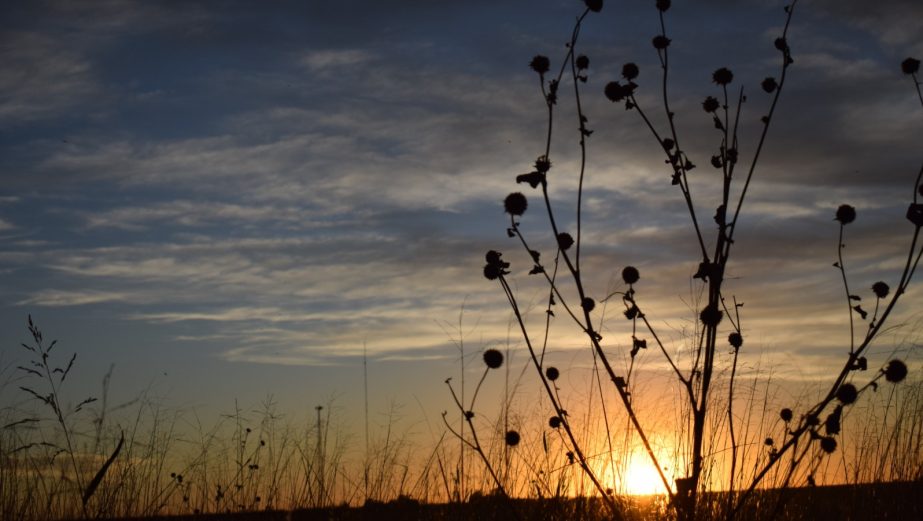 sunset-prairie-texas