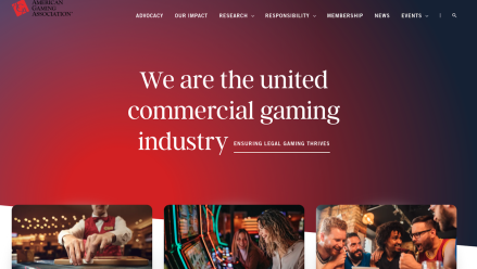 aga mission statement