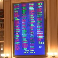 georgia-general-assembly-voting-board