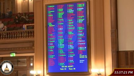 georgia-general-assembly-voting-board