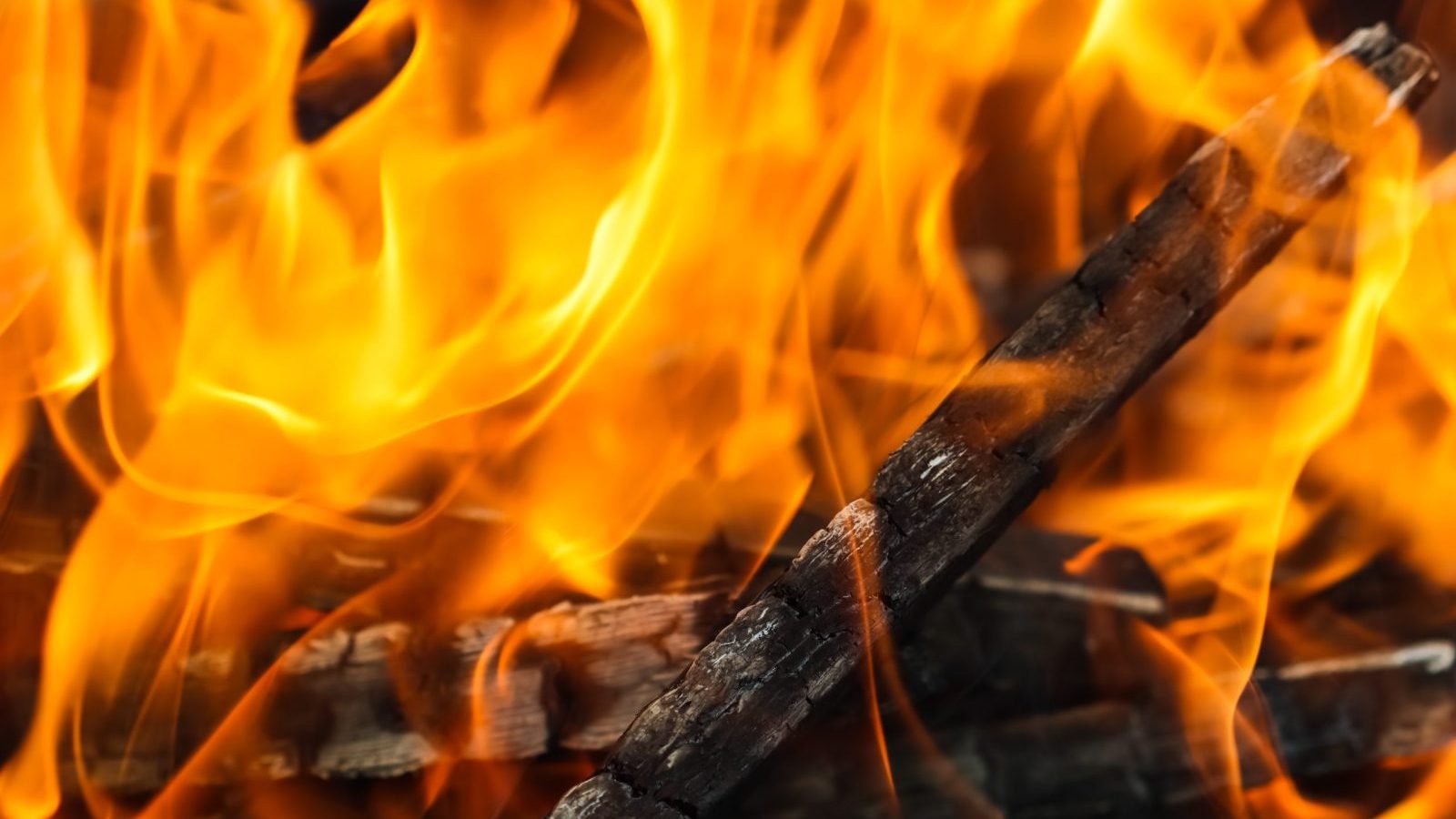 fire burning