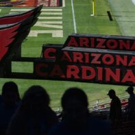 arizona cardinals state farm stadium