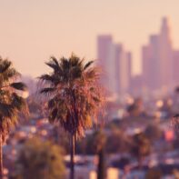 palm-trees-los-angeles-skyline-background