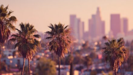 palm-trees-los-angeles-skyline-background