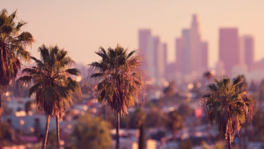 palm-trees-los-angeles-skyline-background