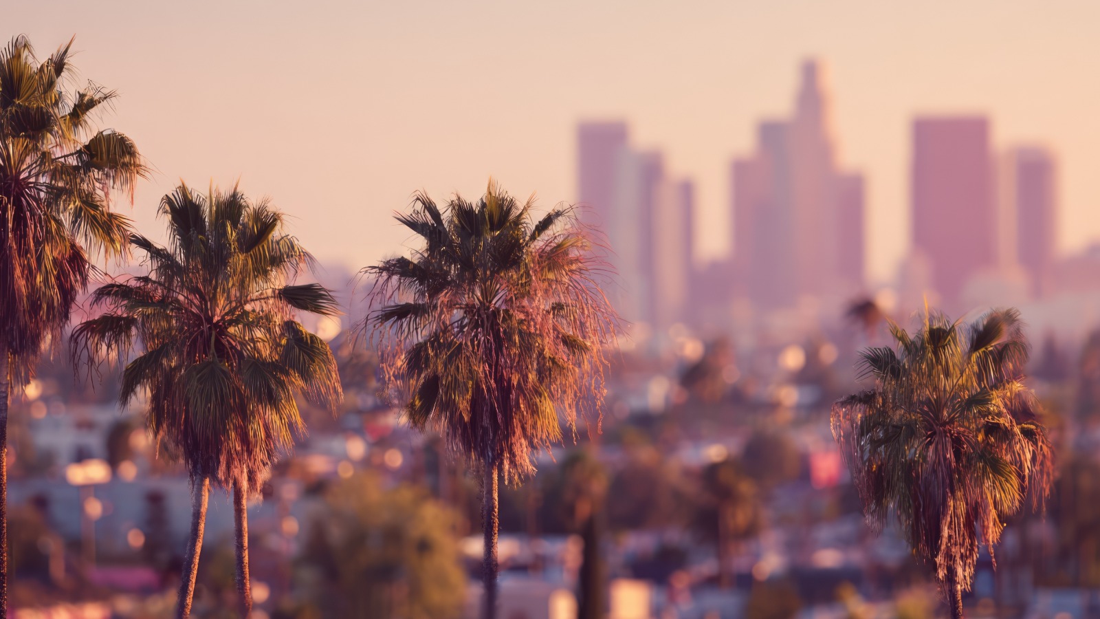 palm-trees-los-angeles-skyline-background
