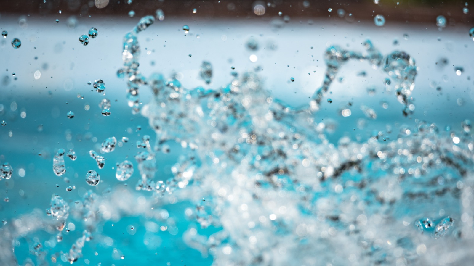 Splash Tweaks $21M Survivor Contest, Adds Marketplace