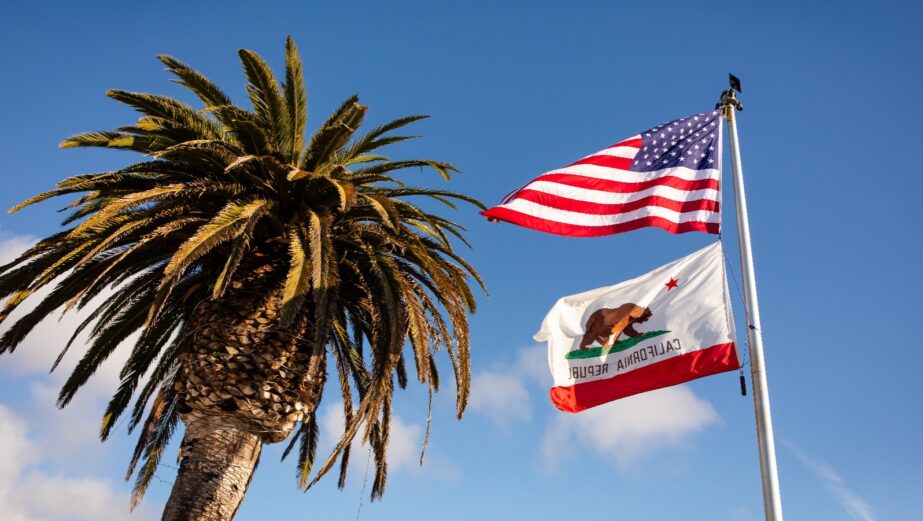 us-flag-california-flag-palm-tree