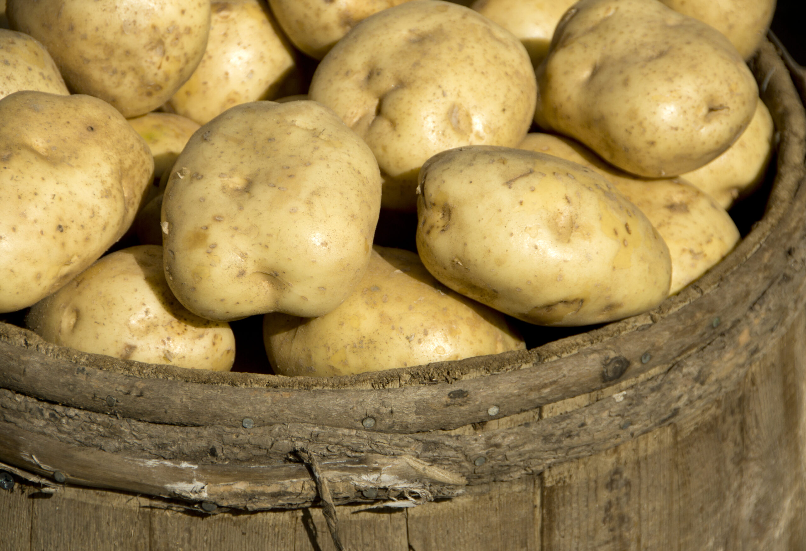 Kalshi Says Second Circuit Already Found CEA Preempts State Laws In 1981 ‘Potato War' Case